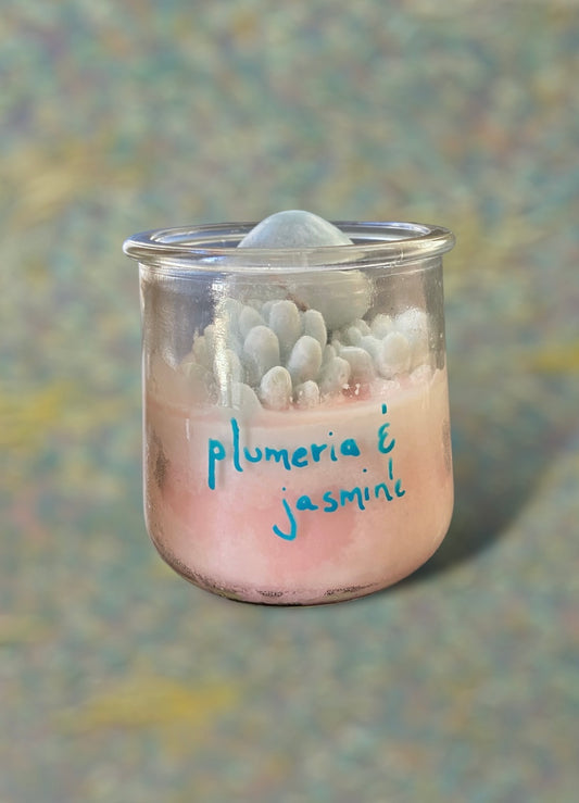 the plumeria and jasmine terrarium candle