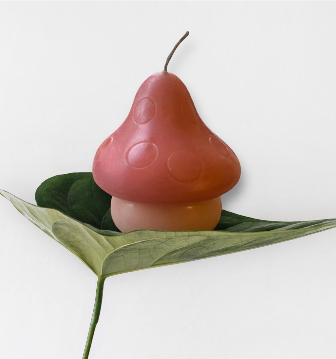 the chunky shroomie candle